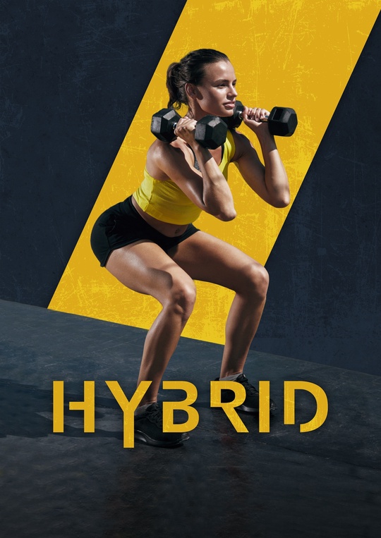 Hybrid