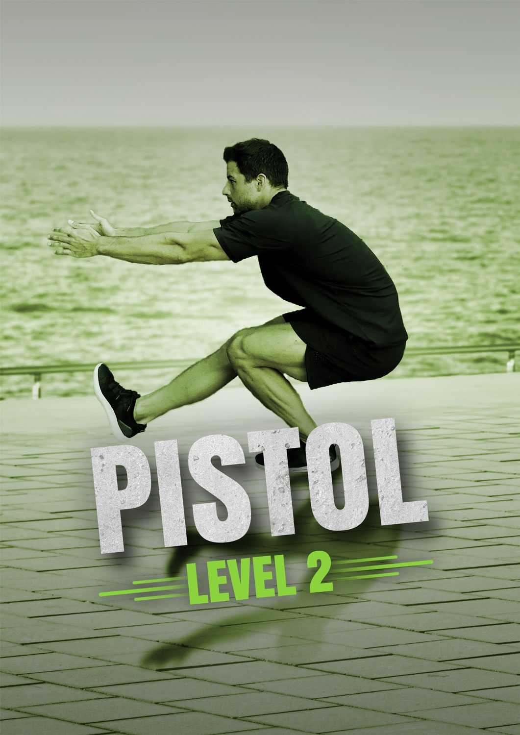 Pistol Level 2