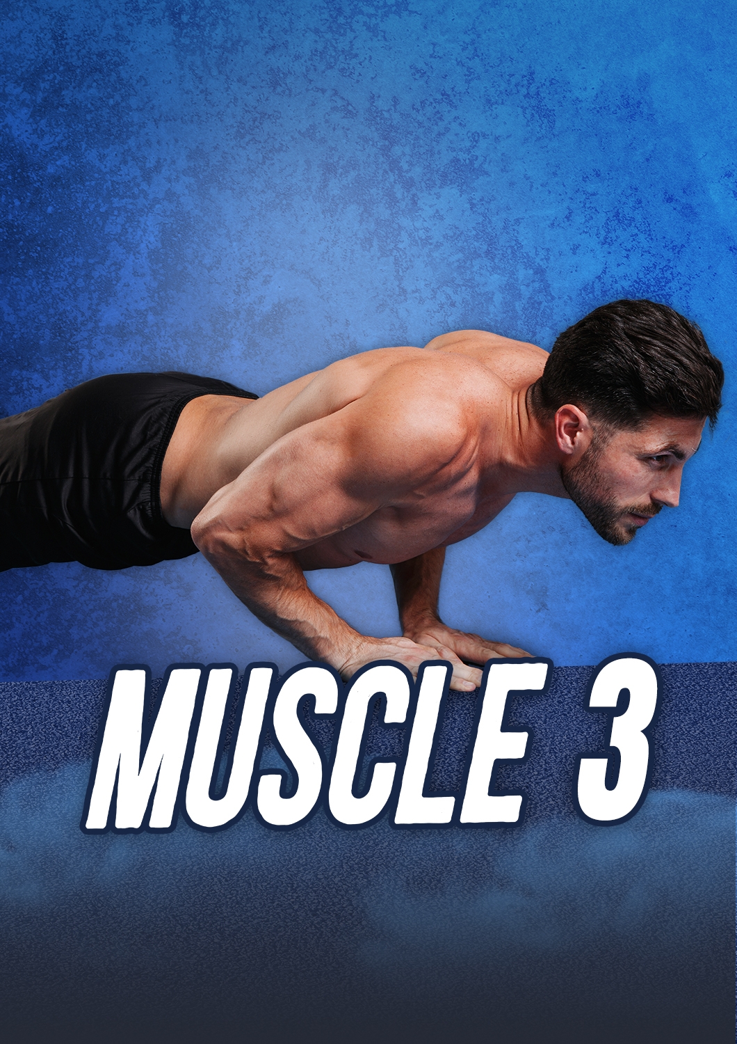 Muscle 3