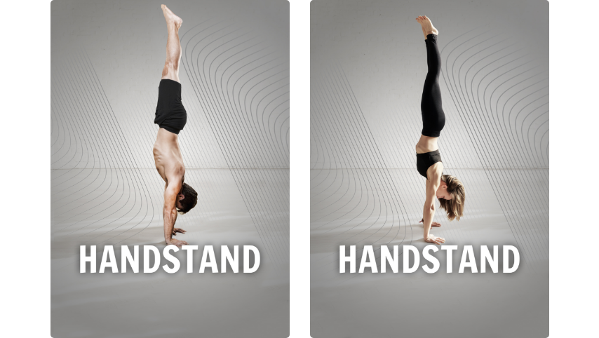 À quoi ressemble le programme Handstand de FizzUp ?